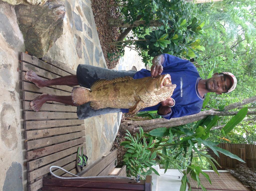 Coco Komba Lodge Nosy Komba 外观 照片